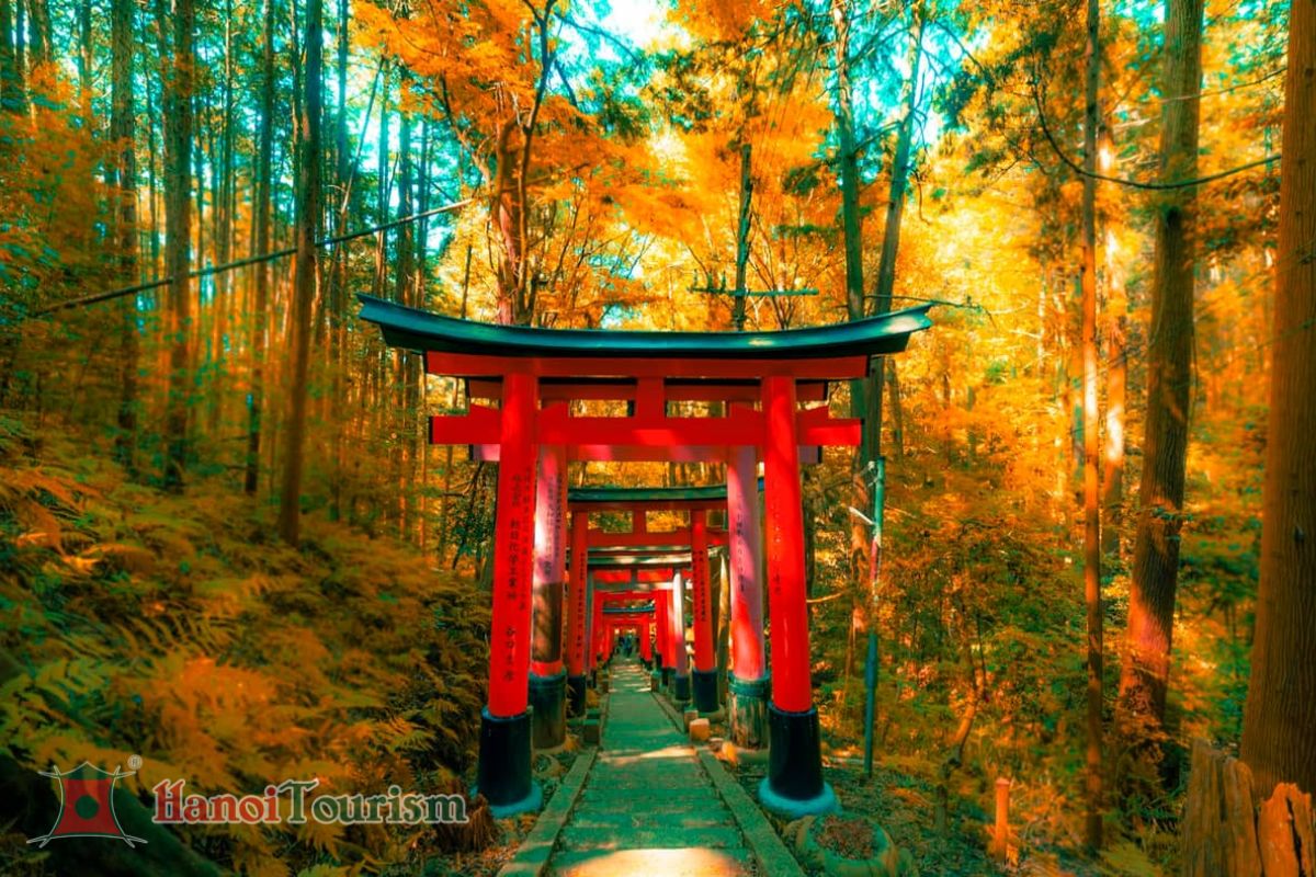 Đền Fushino Inari - Nhật Bản mùa thu